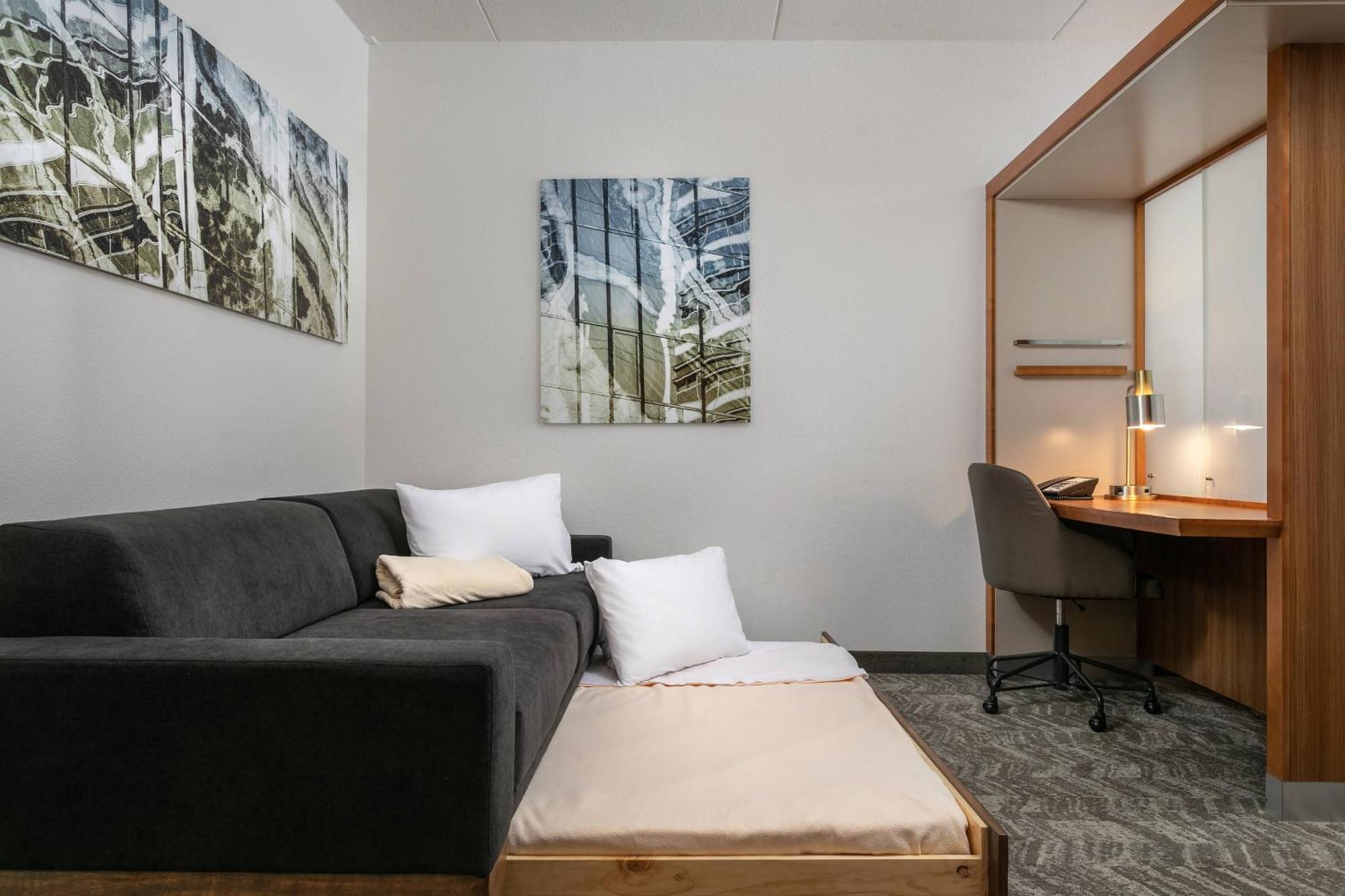 Springhill Suites By Marriott Downtown Chattanooga/Cameron Harbor Екстериор снимка
